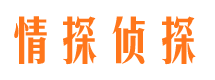 沙坪坝市婚外情取证